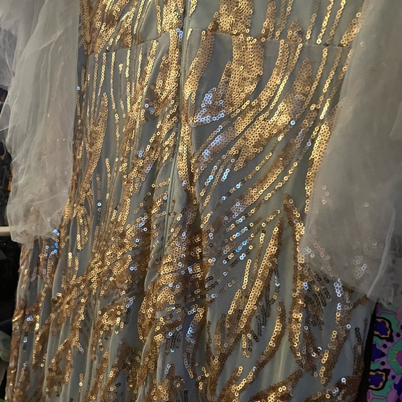 Elegant Formal Evening Gown - Picture 9 of 11